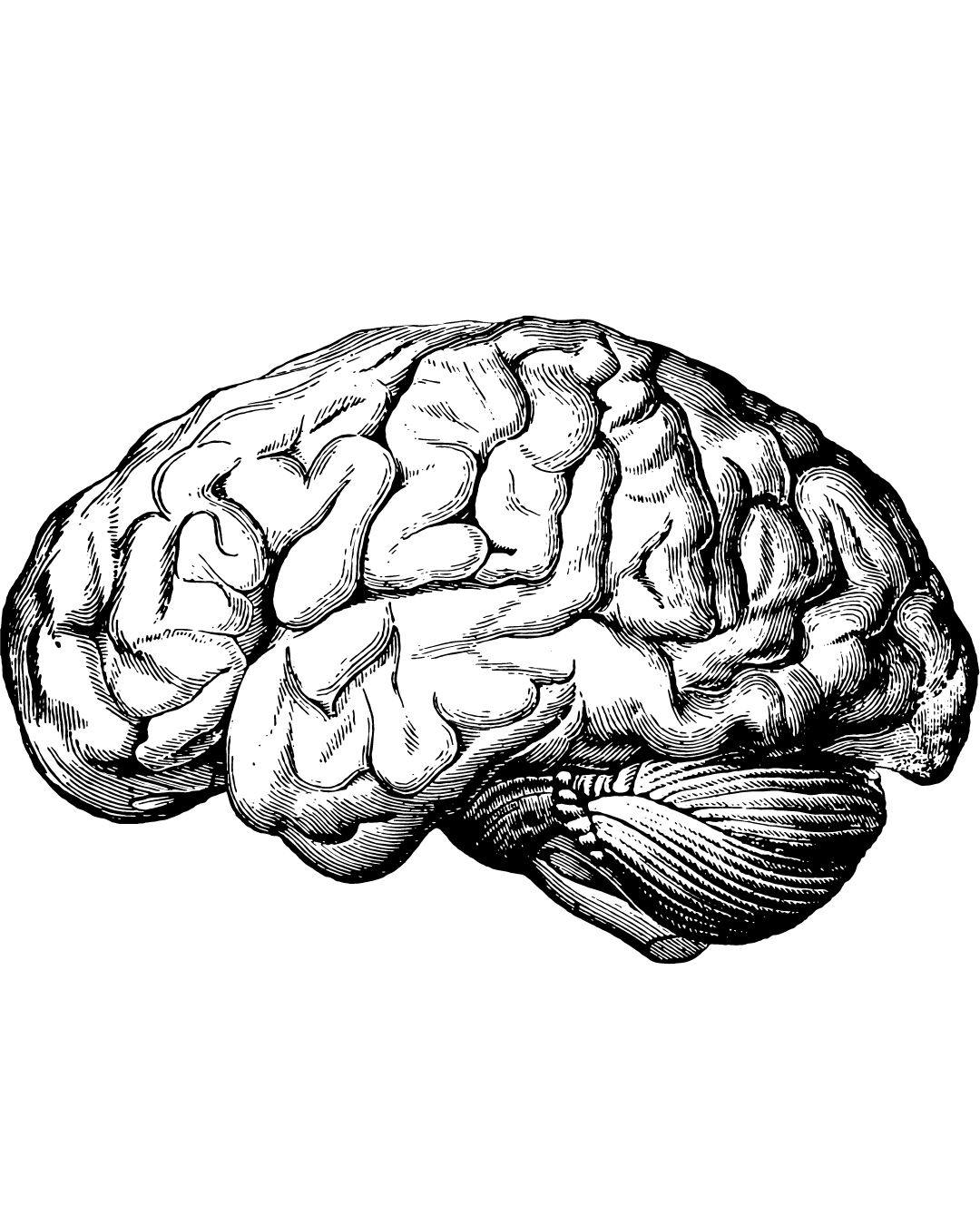 Read more about the article Neurociência dos Vícios